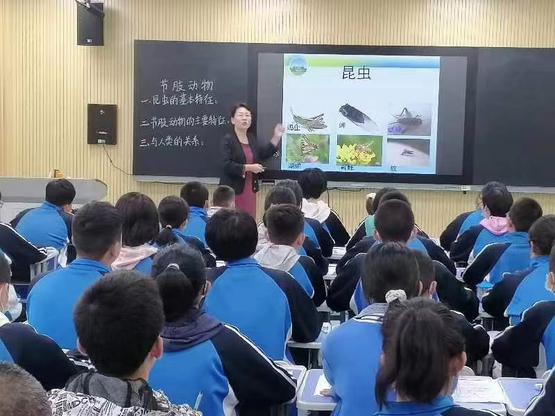 郑淑兰出示示范课