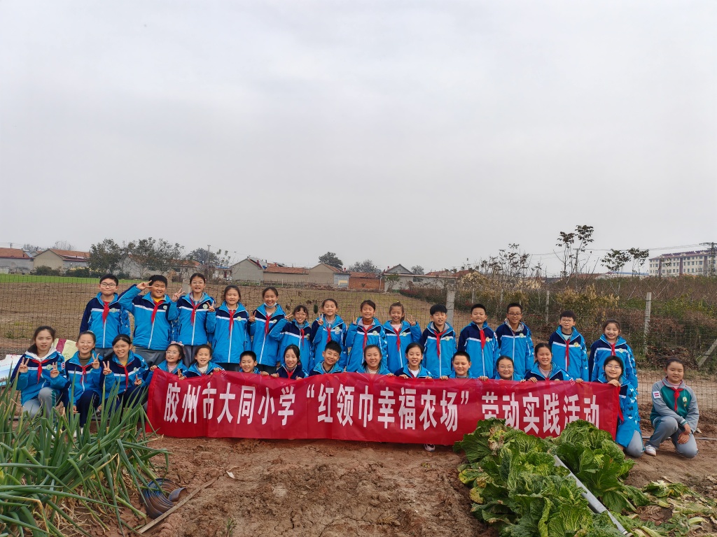 学校开展幸福农场活动。