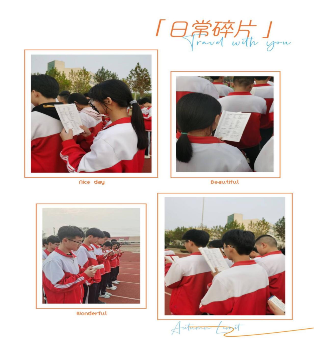 图片8
