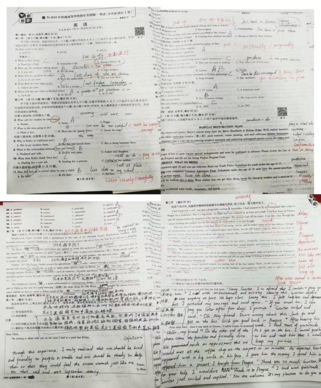 图片11