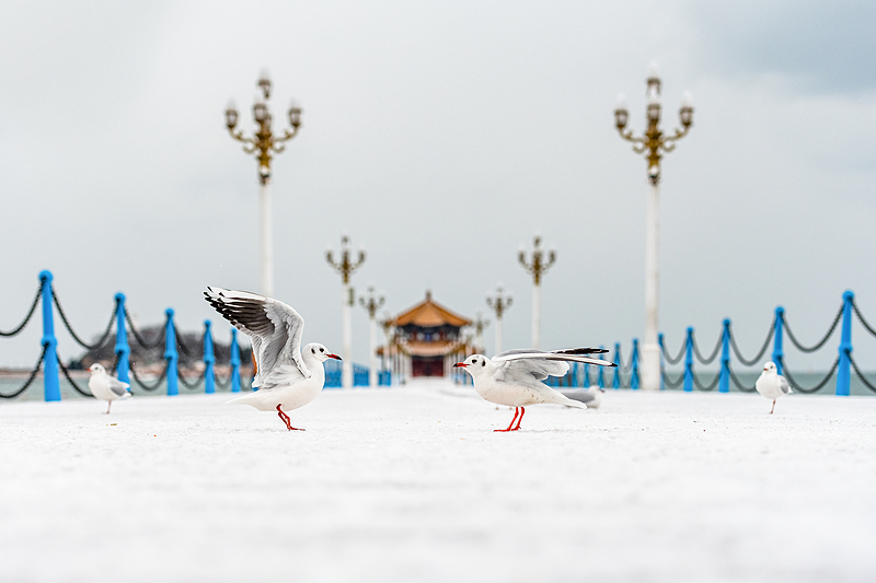 VCG41N1293999064.jpg