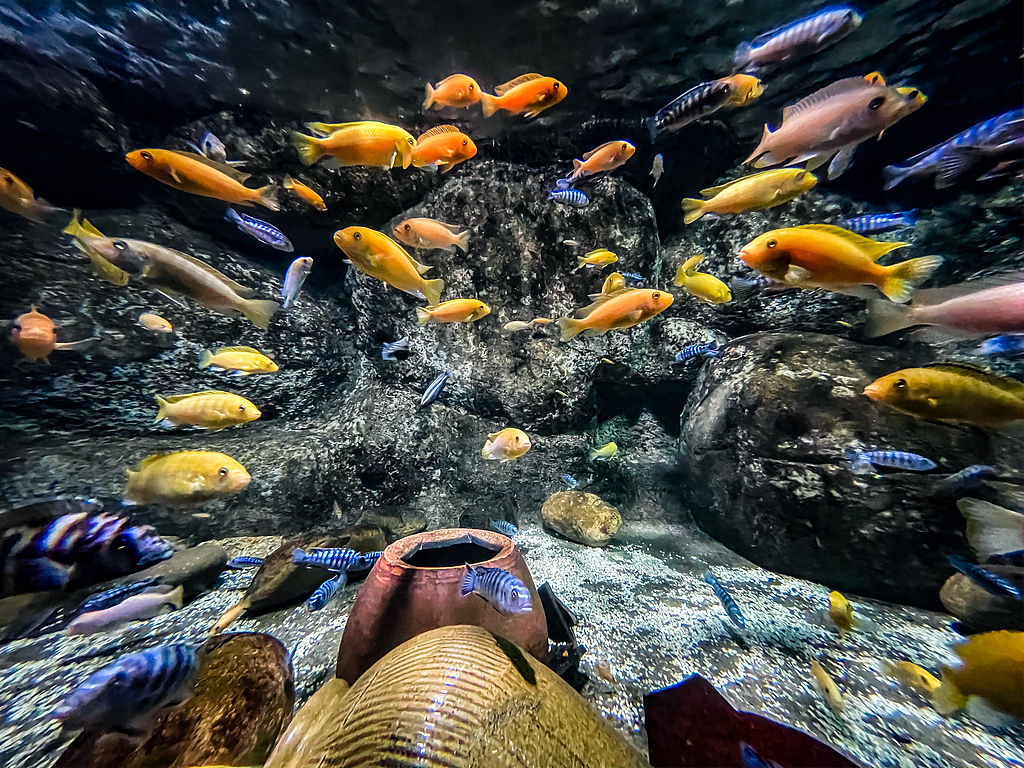 VCG211325698206.jpg