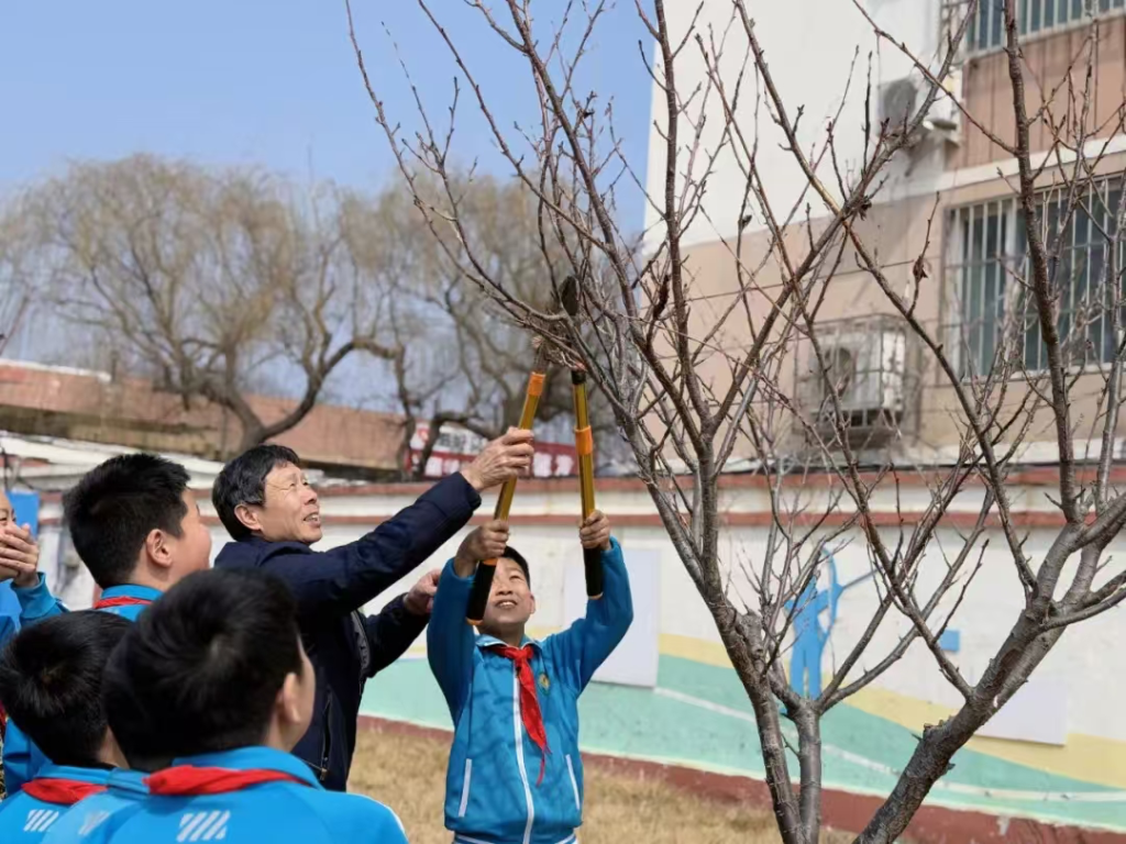 阜东小学