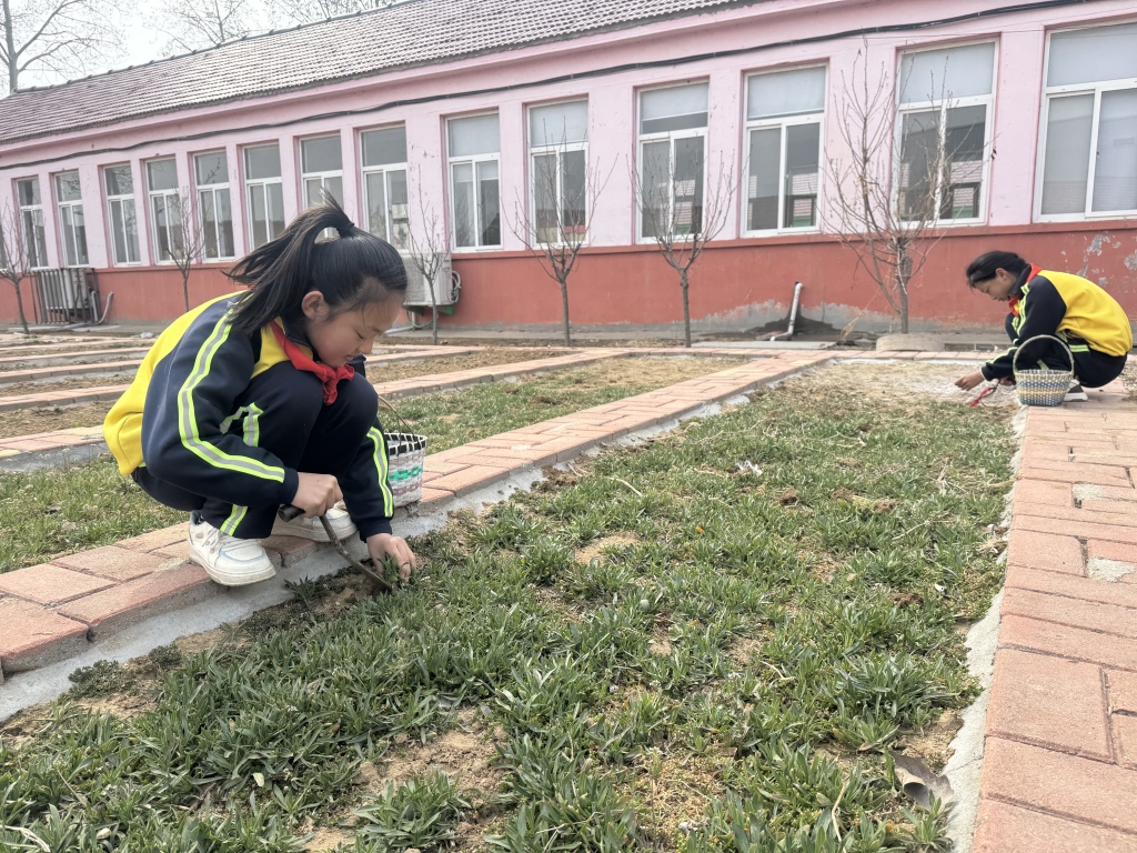 微信图片_20250320153353