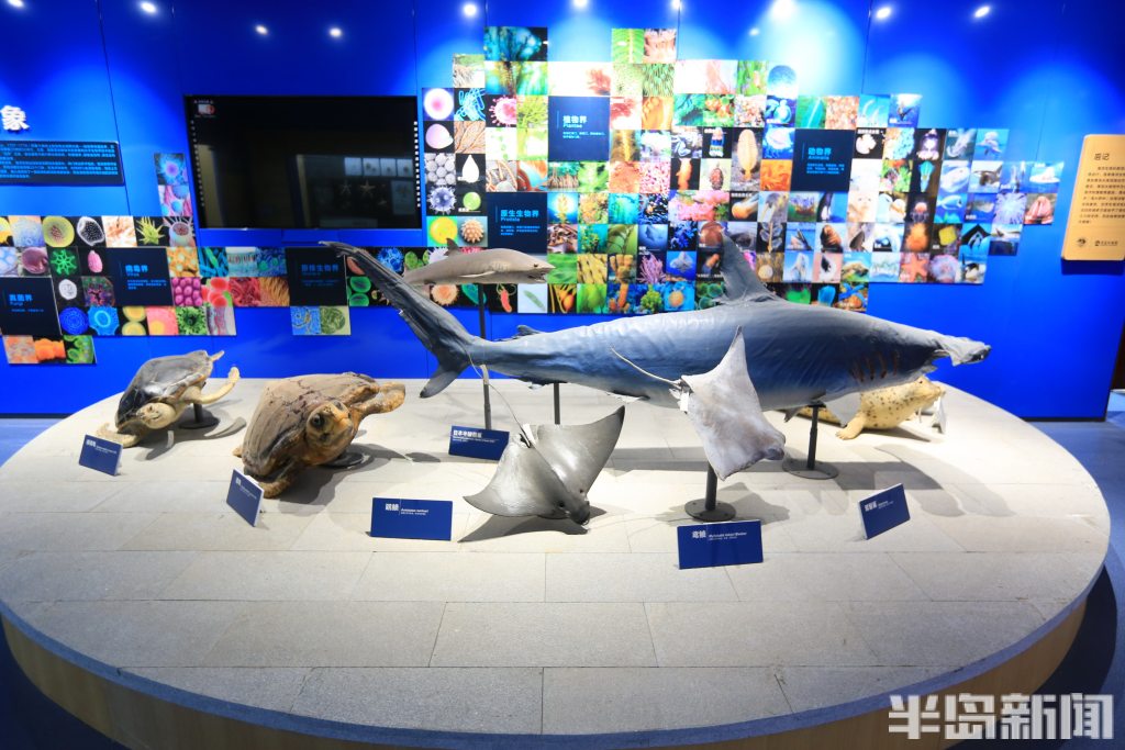 6d4a016a-120900.JPG