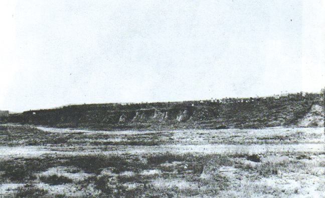 image003